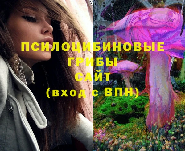 круглые Няндома