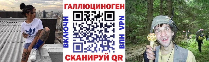 Псилоцибиновые грибы GOLDEN TEACHER  Талдом 
